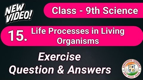 Oefening 15 levensprocessen in levende organismen | Vraag en antwoord hoofdstuk 15 wetenschap klas 9