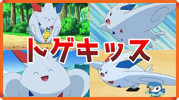 トゲピー進化アニメ トゲピー進化アニメ