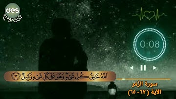 سورة الزمر من آية ( ٦٢- ٦٥)