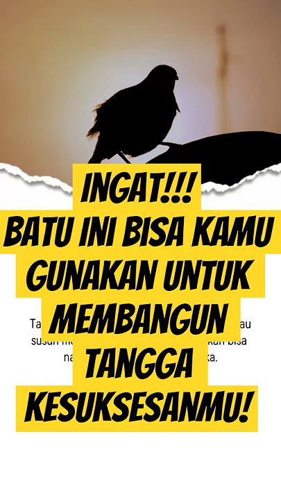 Ingat!!! Batu Ini Bisa Kamu Gunakan Untuk Membangun Tangga Kesuksesanmu!
