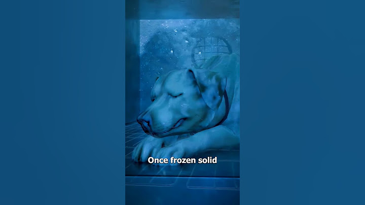How Freeze-Drying Pets Works 😯