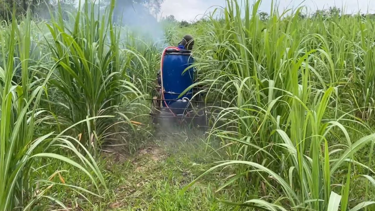 รถพ่นร่องอ้อยดัดแปลงรถไถเดินตาม 🚀ระบบพ่นไฟแบตเตอรี่12v