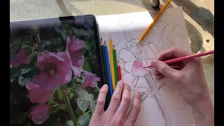 Plein Air Drawing Lesson for Kids at Home!