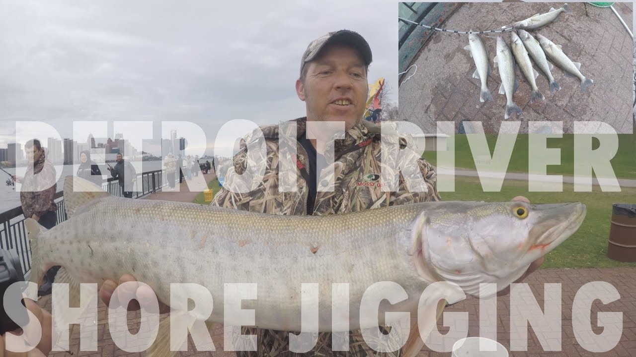 Fishing for AGRESSIVE Spring Walleyes Detroit River Shore Walleye