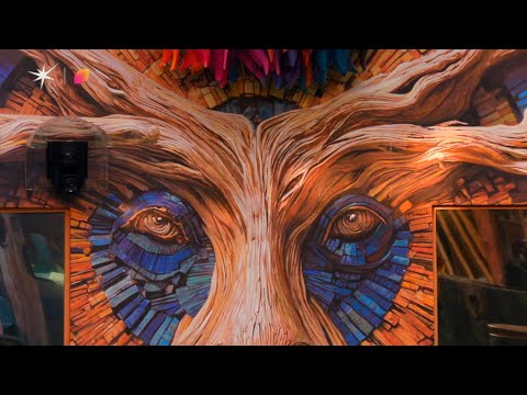 Deepak Chahar Visits Bigg Boss | Bigg Boss 19