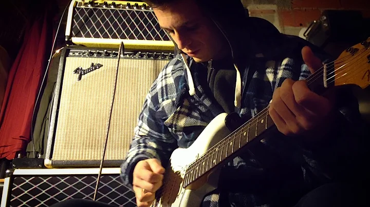 Fender Twin Reverb 1976 / Beautiful Clean Sound