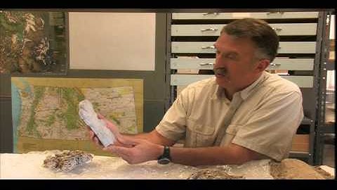 NextEngine 3D Scanner used in the hunt for the Real Hobbit