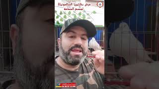 عندك مرض السالمونيلا ماتخاف مدهش كاين الحل 