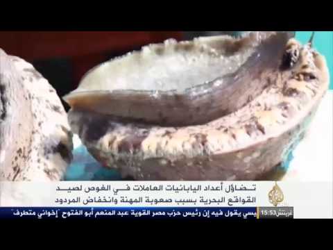 تضاؤل أعداد اليابانيات العاملات بمهنة الغوص