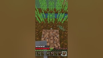 Random Tick Speed = ♾