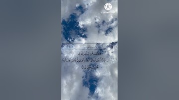 سورة التوبة من آية ٥٥ الى ٦١