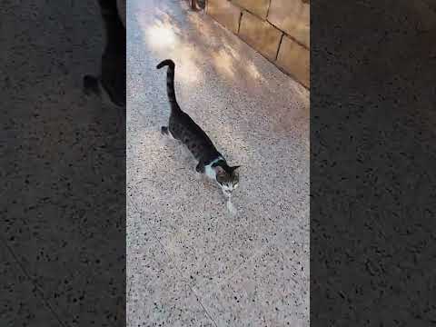 اخذت قلبي بلاميعاد اناشيد اسلاميه اكسبلور لايك تصويري 