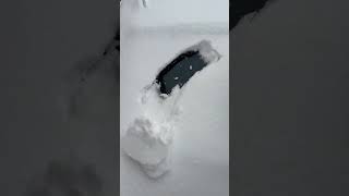 Today its again #snowfall #netherlands