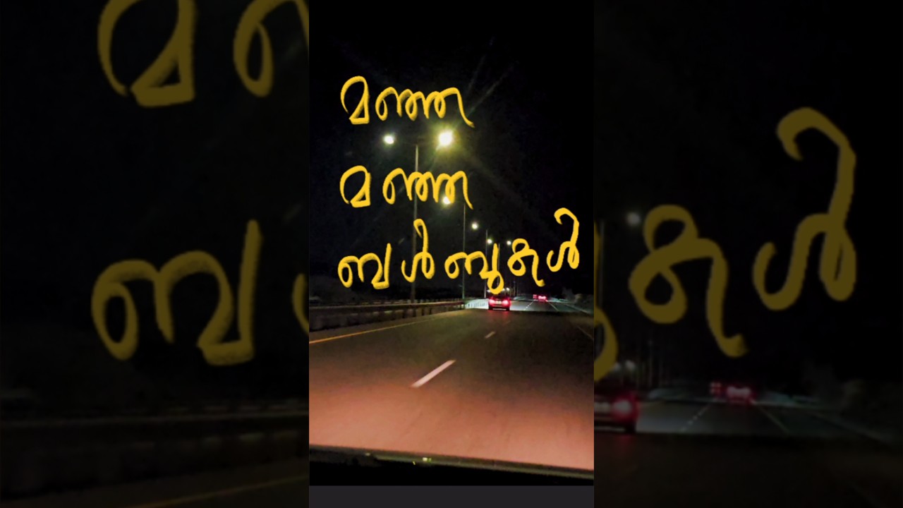 Dancing Lights on Highway 