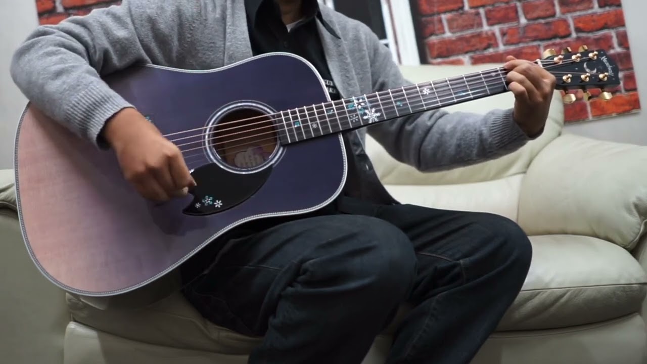 ギター Nobu58
BOSS SD-1 Used Ibanez Artcore AK86 2 Tone Sunburst Hollow Body