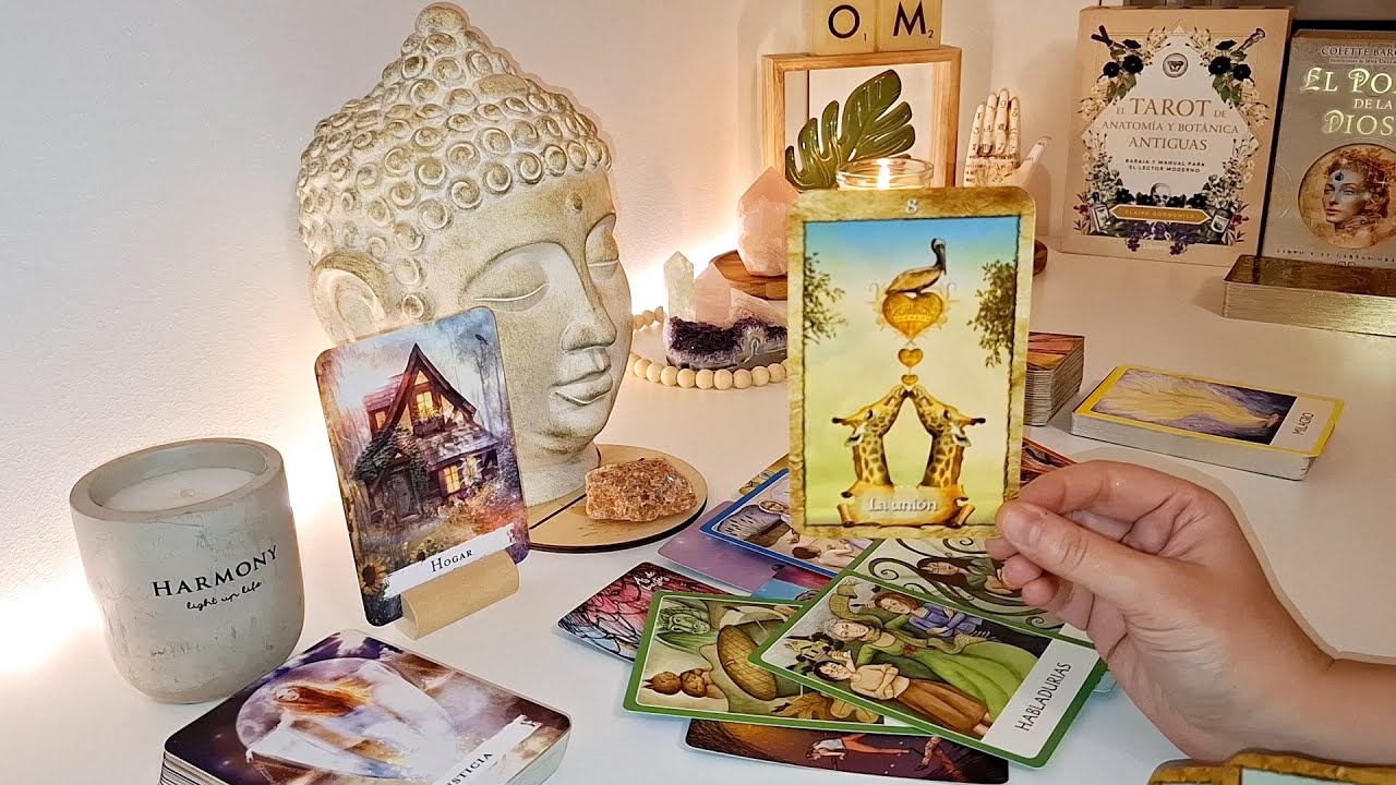 🍃🍀 PIENSA EN UNA PERSONA Y TE DIRÉ LO QUE SIGNIFICAS PARA ÉL/ELLA 🍀🍃 TAROT INTERACTIVO⚡️