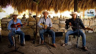 TRIO DIAMANTE HUASTECO - CORRIDO DE TAMAN (Video Oficial) #corridazos #Estreno #Exitos