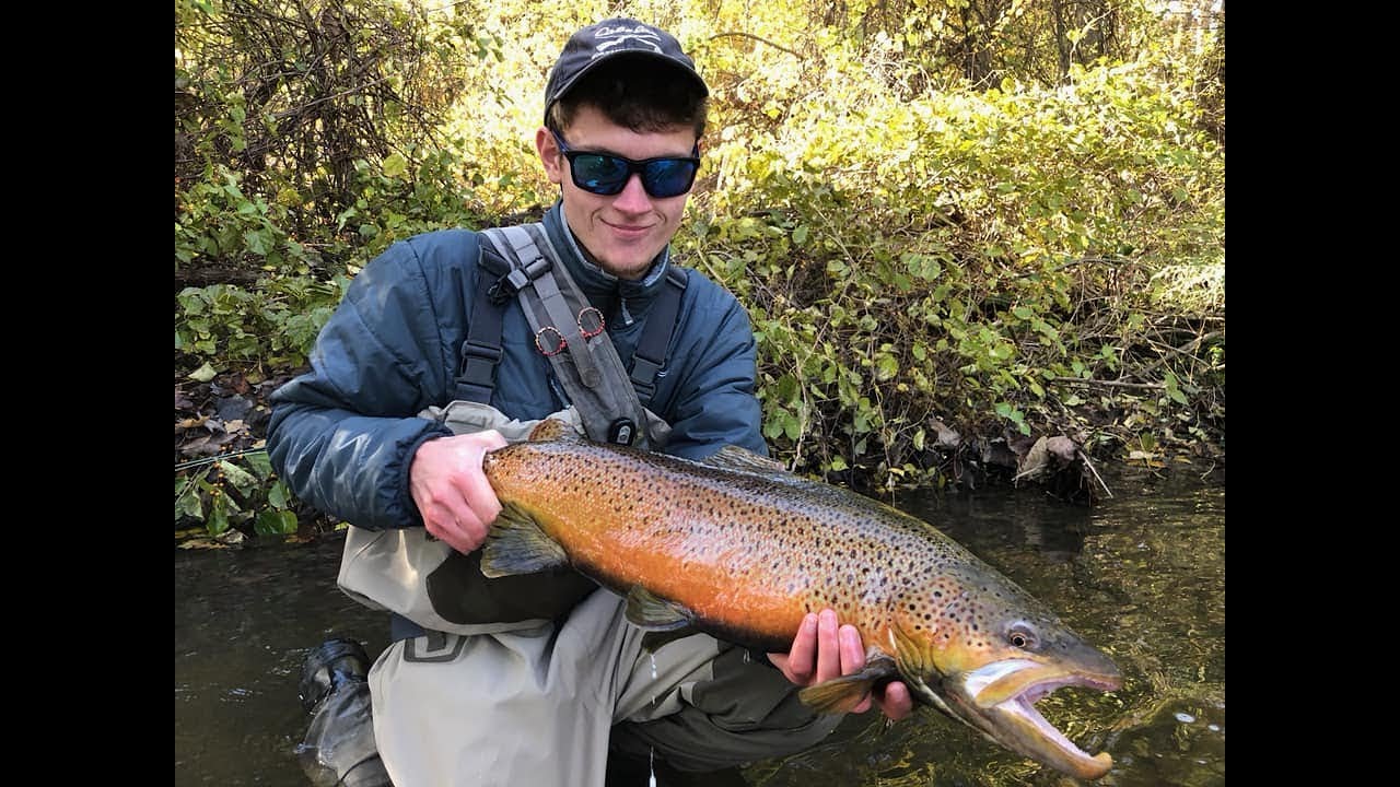 Small Stream Brown trout fishing-Private Land Acess - YouTube