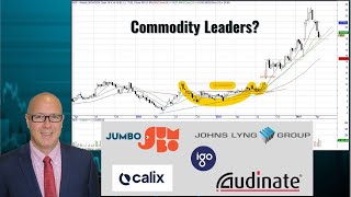 Are Commodities Still the Main Game? | IGO CXL JIN JLG AD8