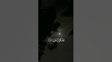 القارئ : عبد الرحمن مسعد ﴿ وَإِذَا قُرِئَ الْقُرْآنُ فَاسْتَمِعُوا لَهُ﴾[ سورة الأعراف: 204]