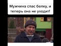 Животные ценят добро👍