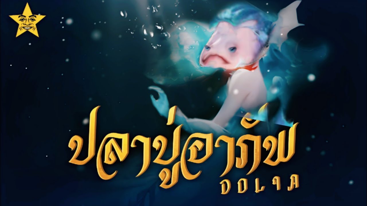 สงสารแต่เมนโดเลีย ต้องเสียดวงตาเพราะดูคลิปนี้ | ROV