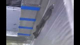 Pacific Lamprey Climbing Up Test Lamprey Passage System