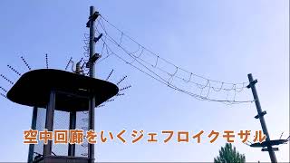 講談社の動く図鑑MOVE｜講談社