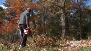 Leaf Blowers Buying Guide Consumer Reports