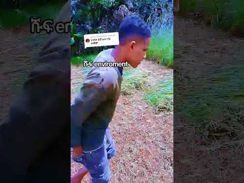 ወባጀ ተጉራጌ Habesha ጉራጊኛ