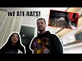 YOU WONT BELIEVE WHAT HAPPENED TO OUR CARNE ASADA!! WE ATE RATS 🐀