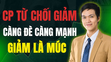 Cổ Phiếu Không Chịu Giảm: Lực Cầu Quá Mạnh, Chuẩn Bị Bùng Nổ!