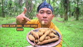 RUJAK BUAH ASAM JAWA ATAU ASAM KAMAL MUDA || Tamarind fruit is a sour fruit for salad