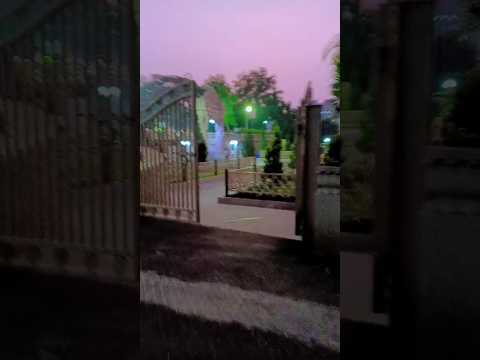 Trending Mucis Reels