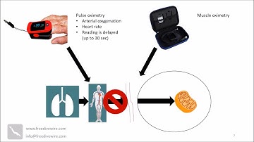 Dry training for freediving with the Moxy muscle oxygen monitor