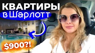 видео: Ищем квартиру Вите | Апартаменты в Шарлотт, Северная Каролина | Цены на жилье картинка: Ищем квартиру Вите | Апартаменты в Шарлотт, Северная Каролина | Цены на жилье