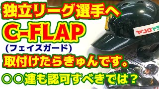 トクサンＴＶでも紹介されていた、メジャー、プロ野球でもマストアイテムなフェイスガード、C-FLAPを取付けしてみたの巻き。