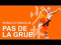 KUNG-FU SHAOLIN REIMS - Pas de la grue