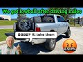 OLD MAN OFFERED $800 FOR 24X14 AFTER DRIVING 7 HOURS TO SELL THEM ( ANGRY REACTION ) *LOWBALLED*