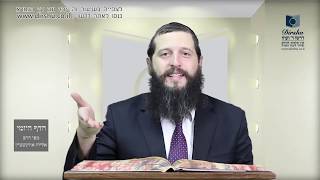 הדף היומי מסכת תמורה דף כו