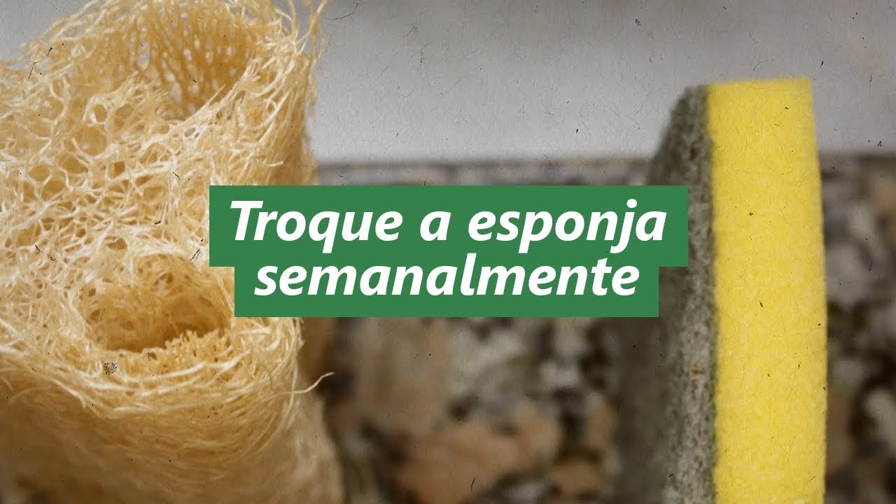 Troque a esponja semanalmente para evitar riscos à saúde