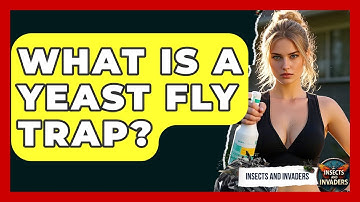 What Is A Yeast Fly Trap? - Insects and Invaders