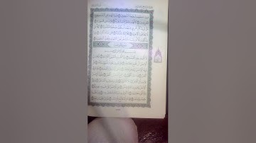 سورة القيامة بصوت الطفل صلاح الدين الأيوبي 😇⁦❤️⁩👍😁😁😗😘