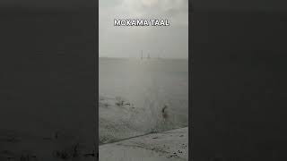 Mokama Taal #ibranvlog4895 #shorts #ytshorts #youtube #bihar #flood