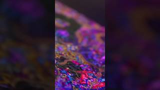 The Story Of My Life