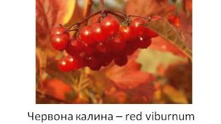 Learn Ukrainian Language - Lesson 6 - Colors