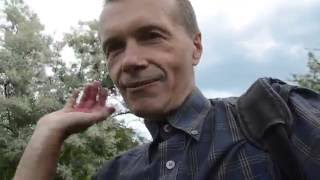 Правильное питание Диета не диета, лета и еды, похудание Правильное питание Диета не диета, лета и еды, похудание