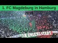 Hamburg gegen Magdeburg 8.4.2019 - Fans aus Magdeburg drehen durch