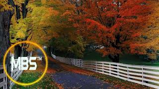 Zxd Mindblowerz - Skyline