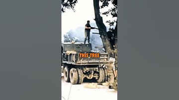 World War 3 almost started over a tree! #ninjasarebutterflies #podcast